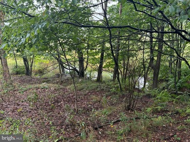 OWN A PIECE OF WEST VIRGINIA! 2.04 (UNRESTRICTED) ACRES. ONLY A - photo 32