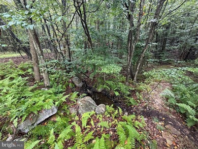 OWN A PIECE OF WEST VIRGINIA! 2.04 (UNRESTRICTED) ACRES. ONLY A - photo 33