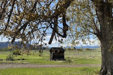 Experience the ultimate Flathead Lake retreat with this rare and - photo 36