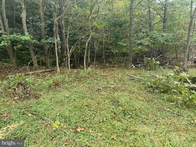 OWN A PIECE OF WEST VIRGINIA! 2.04 (UNRESTRICTED) ACRES. ONLY A - photo 36