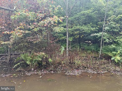 OWN A PIECE OF WEST VIRGINIA! 2.04 (UNRESTRICTED) ACRES. ONLY A - photo 42