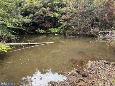 OWN A PIECE OF WEST VIRGINIA! 2.04 (UNRESTRICTED) ACRES. ONLY A - photo 44