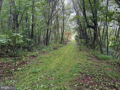 OWN A PIECE OF WEST VIRGINIA! 2.04 (UNRESTRICTED) ACRES. ONLY A - photo 45