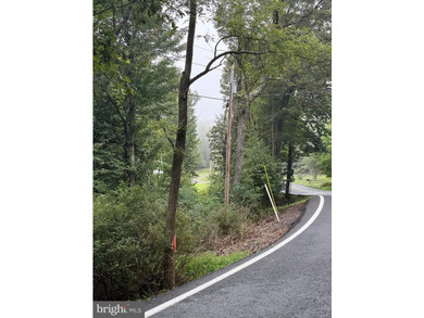 OWN A PIECE OF WEST VIRGINIA! 2.04 (UNRESTRICTED) ACRES. ONLY A - photo 47