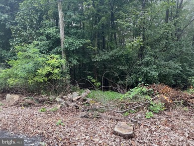 OWN A PIECE OF WEST VIRGINIA! 2.04 (UNRESTRICTED) ACRES. ONLY A - photo 49