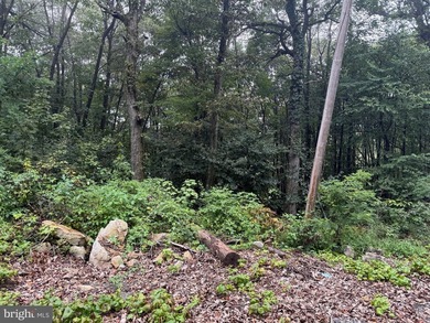 OWN A PIECE OF WEST VIRGINIA! 2.04 (UNRESTRICTED) ACRES. ONLY A - photo 50