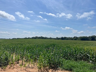 Don't miss your chance to own this 96.3+- acres of prime - photo 2