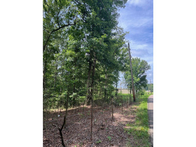 Don't miss your chance to own this 96.3+- acres of prime - photo 3