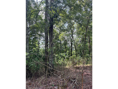 Don't miss your chance to own this 96.3+- acres of prime - photo 4
