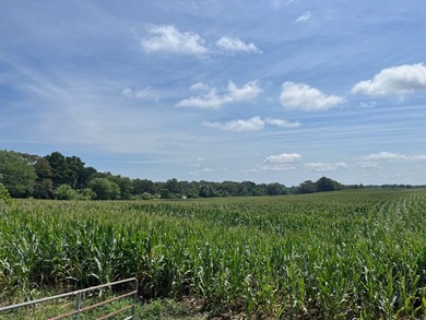 Don't miss your chance to own this 96.3+- acres of prime - photo 5