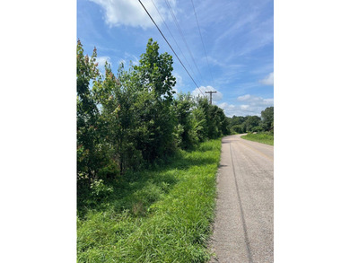 Don't miss your chance to own this 96.3+- acres of prime - photo 9