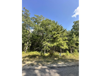 Lake Lot For Sale in Frederic, Michigan