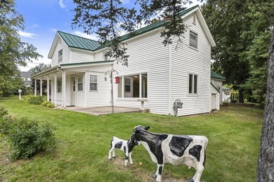 Burt Lake Home For Sale in Indian River Michigan