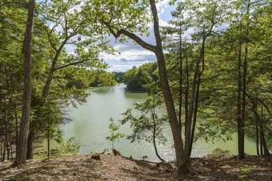 Situated on a private 2.65 acre lot, with 417' of tidal frontage - photo 28