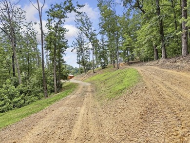 60 acres m/l, 3 cabins and 3 side by sides!! Welcome to this - photo 50