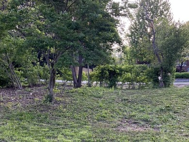 17 E Lyncliff Dr - photo 6