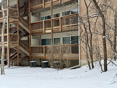 Four Lakes Condo For Sale in Lisle Illinois