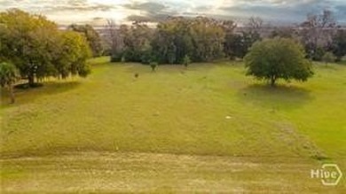 Bring your own builder to Bluff Creek - 1.83 acre water & marsh - photo 3