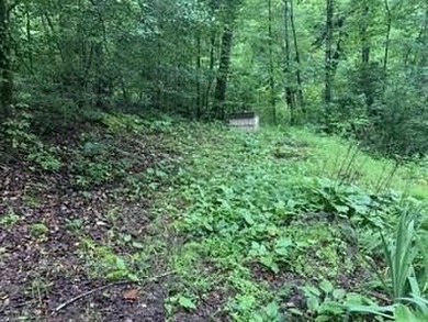 REDUCED BEST MTN VIEW with USFS Frontage Lot behind subdivision - photo 11