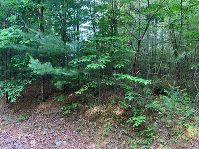REDUCED BEST MTN VIEW with USFS Frontage Lot behind subdivision - photo 12