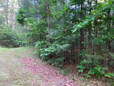 REDUCED BEST MTN VIEW with USFS Frontage Lot behind subdivision - photo 13