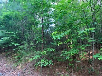 REDUCED BEST MTN VIEW with USFS Frontage Lot behind subdivision - photo 14