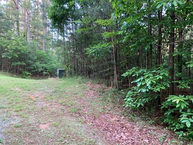 REDUCED BEST MTN VIEW with USFS Frontage Lot behind subdivision - photo 15
