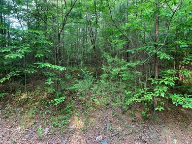REDUCED BEST MTN VIEW with USFS Frontage Lot behind subdivision - photo 16