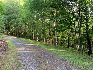 REDUCED BEST MTN VIEW with USFS Frontage Lot behind subdivision - photo 17