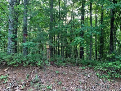REDUCED BEST MTN VIEW with USFS Frontage Lot behind subdivision - photo 19