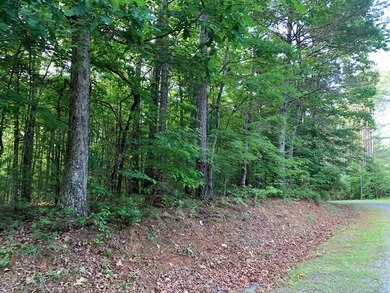 REDUCED BEST MTN VIEW with USFS Frontage Lot behind subdivision - photo 20