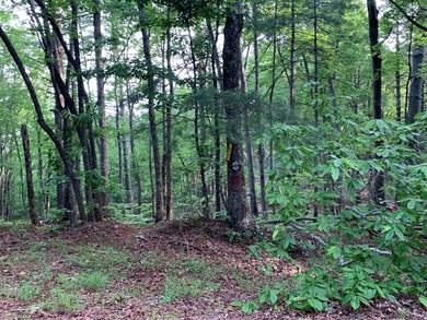 REDUCED BEST MTN VIEW with USFS Frontage Lot behind subdivision - photo 21