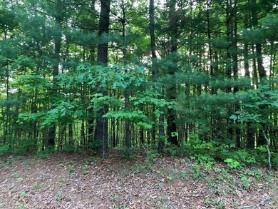 REDUCED BEST MTN VIEW with USFS Frontage Lot behind subdivision - photo 22