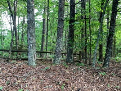 REDUCED BEST MTN VIEW with USFS Frontage Lot behind subdivision - photo 23