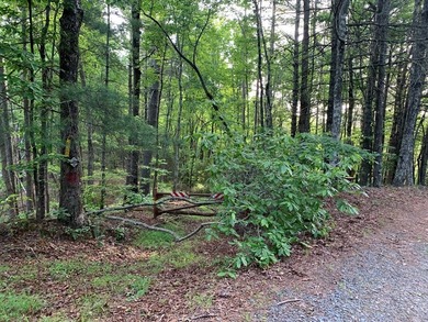 REDUCED BEST MTN VIEW with USFS Frontage Lot behind subdivision - photo 24