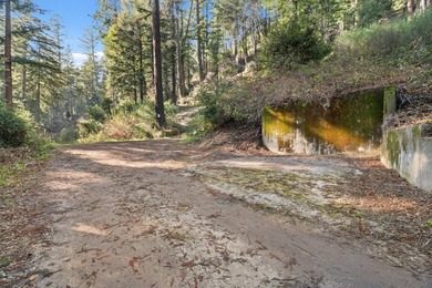 Offering end of the road privacy, this abundantly sunny vacant - photo 2
