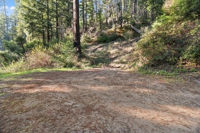 Offering end of the road privacy, this abundantly sunny vacant - photo 3