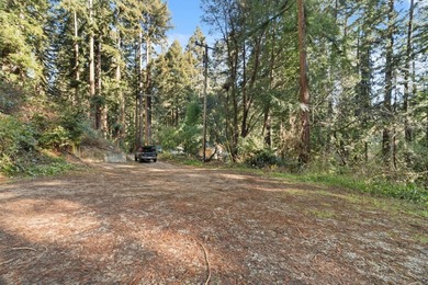 Offering end of the road privacy, this abundantly sunny vacant - photo 5
