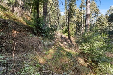 Offering end of the road privacy, this abundantly sunny vacant - photo 8