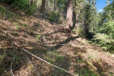 Offering end of the road privacy, this abundantly sunny vacant - photo 9