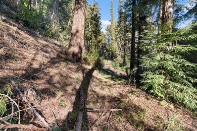 Offering end of the road privacy, this abundantly sunny vacant - photo 10