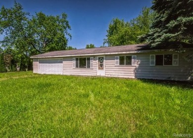 Duck Lake - Montcalm County Home For Sale in Crystal Michigan