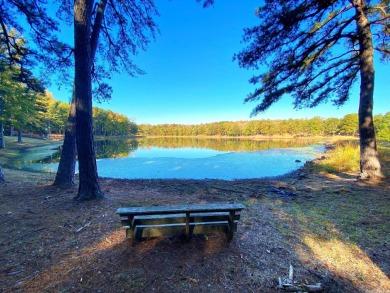 Lake Acreage Off Market in Bigelow, Arkansas