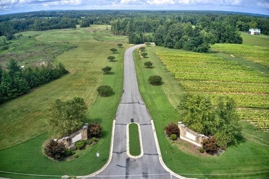 Build your Kerr lake Region Dream home right here at Grace Stone - photo 11