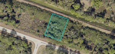 Lehigh Acres Area Lot For Sale in Lehigh Acres Florida