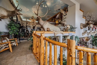 Incredible Commercial Opportunity in Prime Osage Beach Location - photo 33