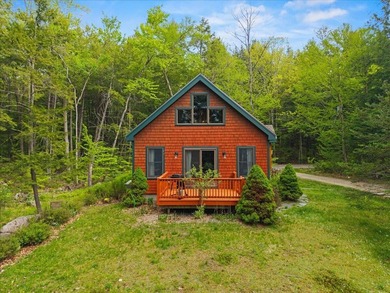 Located on Long Lake in Harrison, Maine, this exceptional - photo 33