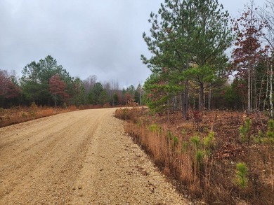 Lots in lake community, only a mile from Lake access. 1.25 miles - photo 3