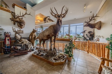 Incredible Commercial Opportunity in Prime Osage Beach Location - photo 35