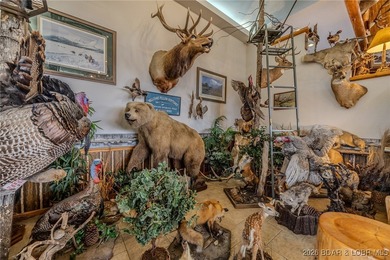Incredible Commercial Opportunity in Prime Osage Beach Location - photo 36